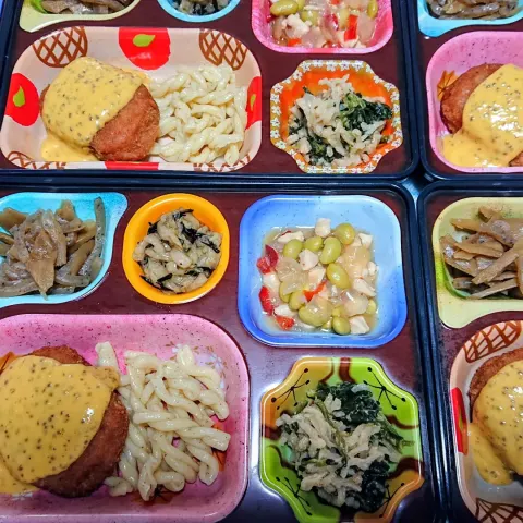 本日の昼食です。 今日は七夕ですね。なのに若葉区は朝雨が降っていました。 夜には晴れて夏の大三角が見れるといいですね～☺️ ライフデリでは個人宅だけでなく、施設様、学校様、企業様への配達にも対応しております。お気軽にご相談下さい。 まずは無...